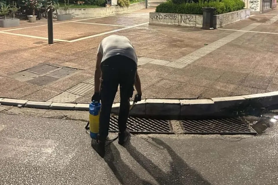 ΔΕΥΑΛ: Ξεκινά απεντομώσεις για τις κατσαρίδες
